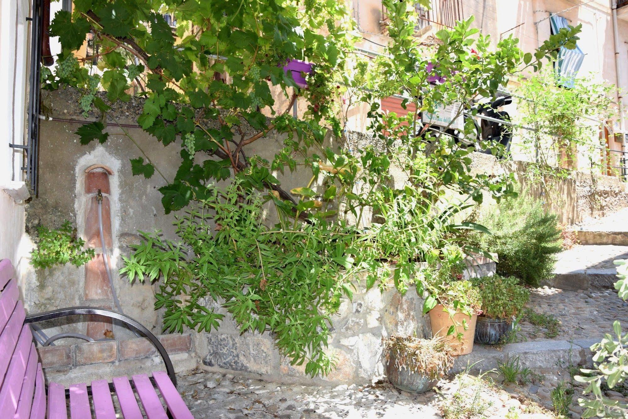 La Casa Del Geko Bed & Breakfast Cefalu Ngoại thất bức ảnh
